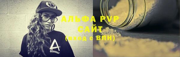 спайс Богданович