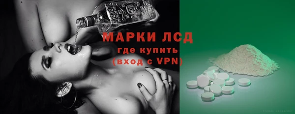 спайс Богданович