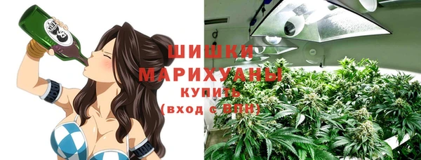 спайс Богданович