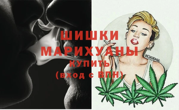 сатива Снежинск