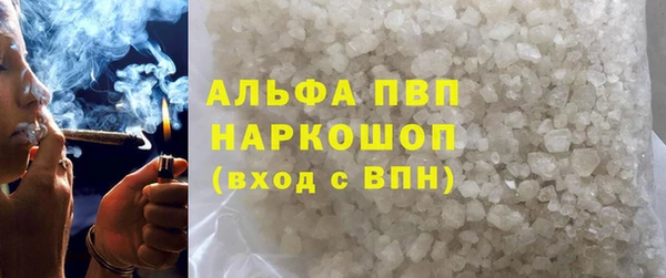 спайс Богданович