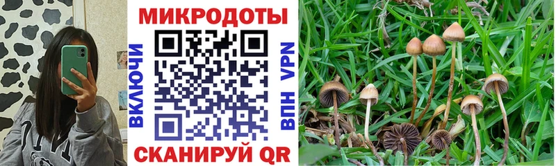 Псилоцибиновые грибы GOLDEN TEACHER  дарнет шоп  Пестово 