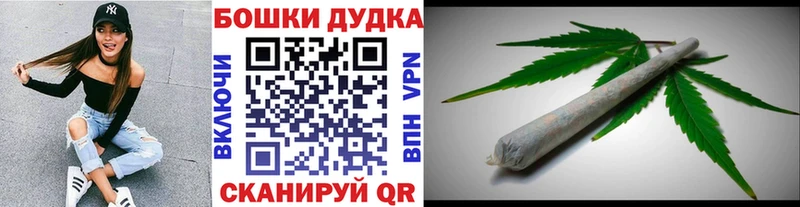как найти закладки  Пестово  Конопля индика 